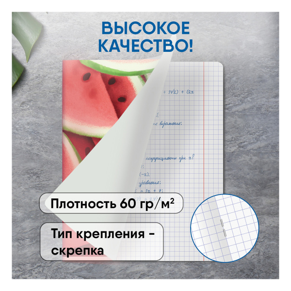 Тетрадь 48л., А5, клетка BG "Летний десерт",  КОМПЛЕКТ 4 ШТ матовая ламинация Т5ск48_лм 11058  342093 - МСК «Форвард»
