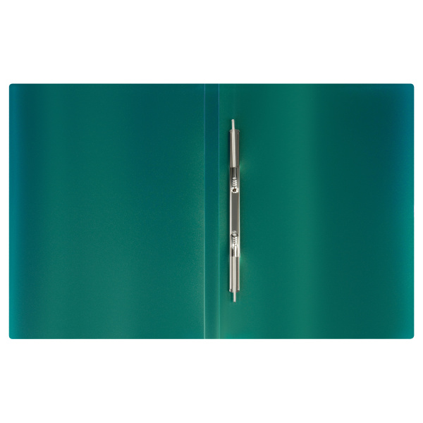 Папка c пружинным скоросшивателем СТАММ "Хамелеон" А4, 17мм, 700мкм, пластик, зеленый хамелеон ММ-31868 373328 - МСК «Форвард»