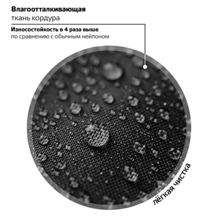 Ранец BRAUBERG PREMIUM, 2 отделения, с брелоком, "Score goal", 3D-панель, 38х29х16 см, 273102 - МСК «Форвард»