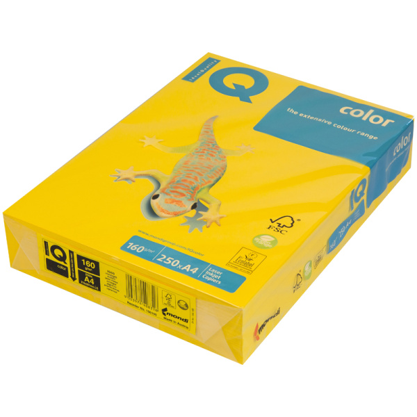 Бумага IQ "Color intensive" А4, 160г/м2, 250л. (горчичный) IG50 089288 - МСК «Форвард»