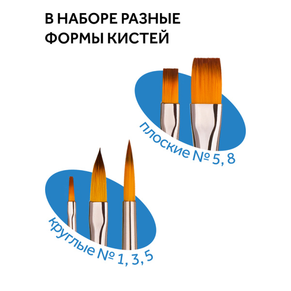 Набор кистей Гамма "Классические" 5шт., синтетика, круглые № 1, 3, 5, плоские № 5, 8, блистер, европодвес 280618.09.06 281038 - МСК «Форвард»
