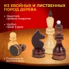 Шахматы турнирные, деревянные, лакированные, глянцевые, доска 40*40 см, ЗОЛОТАЯ СКАЗКА, 665363 - МСК «Форвард»