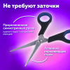 e820ea1e7a4fa2e893a0471deade5355_x