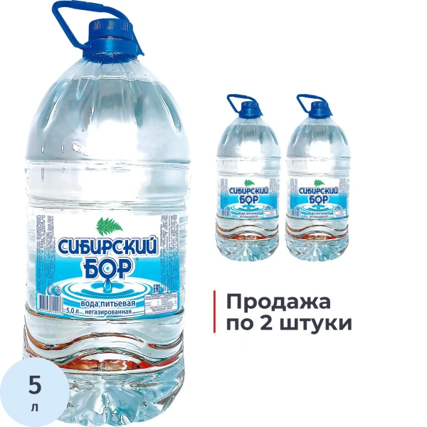 Вода питьевая Сибирский Бор негазированная 5 л КОМПЛЕКТ 2ШТ 2464851 