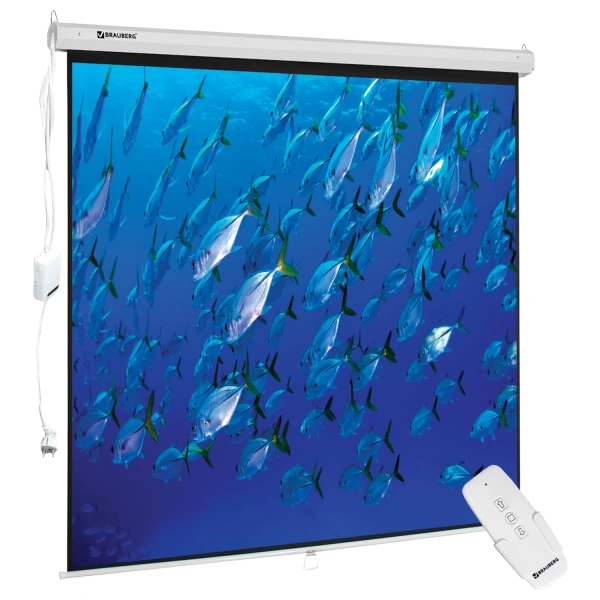 Экран проекционный настенный (180х180см), матовый, электропривод, 1:1, BRAUBERG MOTO, 236733