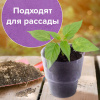 f36eac5b088d0572c1b10a8316dd7b65_x