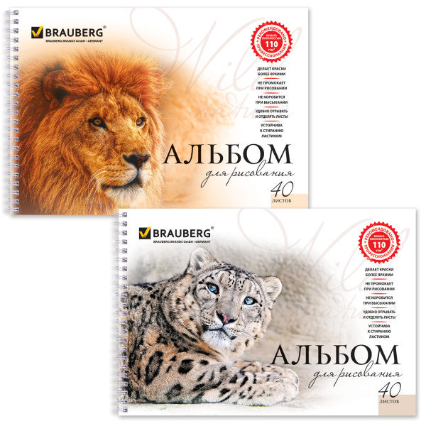 Альбом д/рис. А4 40л., гребень, обложка картон, BRAUBERG, 205х290мм, Благородные кошки(2вида),102831
