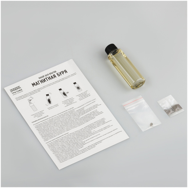 Набор для проведения опытов ТРИ СОВЫ «Магнитная буря», картонная коробка, европодвес EX237T 371975 - МСК «Форвард»