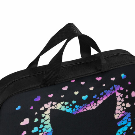 Папка на молнии с ручками BRAUBERG А4, 1 отделение, полиэстер, 80 мм, "Pretty face", 273307 ПРОДАЖИ ПРЕКРАЩЕНЫ - МСК «Форвард»