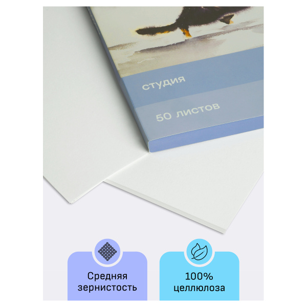 Папка для акварели 50л А4 200г/м2, среднее зерно Гамма "Студия" 40C03F750W 355440 - МСК «Форвард»