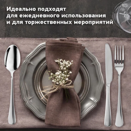 Набор столовых приборов PREMIUM 24 шт., 6 персон, серебристый, нержавеющая сталь, DASWERK (ДАСВЕРК), 609073 - МСК «Форвард»