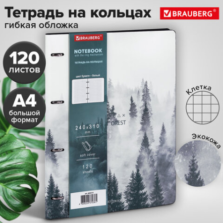 Тетрадь на кольцах БОЛЬШАЯ А4 (240х310 мм), 120 л., под кожу, BRAUBERG VISTA, "Туман", 404515 - МСК «Форвард»