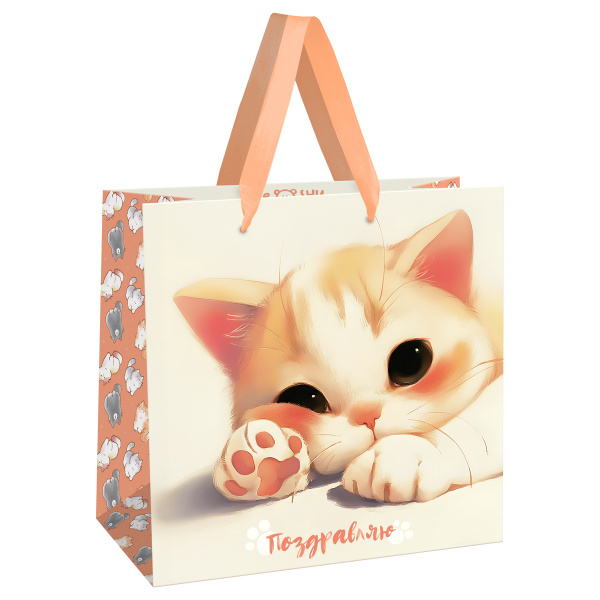 Пакет подарочный 20*20*10см MESHU "Lovely kitten", матовая ламинация MS_66230 382371