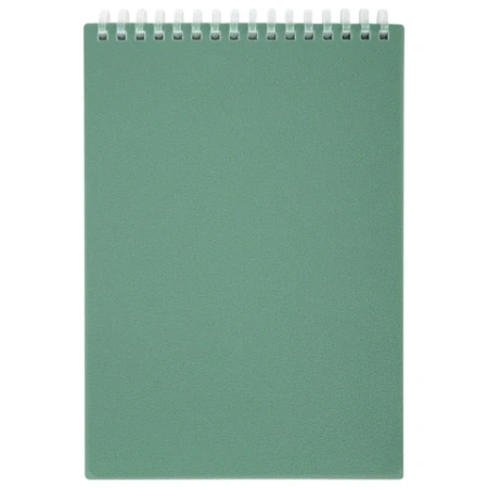 Блокнот А5, 80 л., силиконовый гребень, обложка пластик, клетка, BRAUBERG, зеленый, 117560 - МСК «Форвард»
