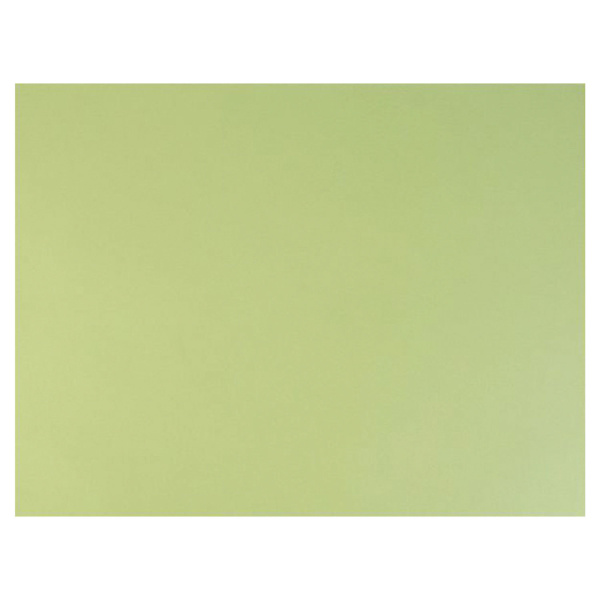 Бумага для пастели (1 лист) FABRIANO Tiziano А2+(500*650мм), 160г/м2, салат. теплый, 52551011  129950