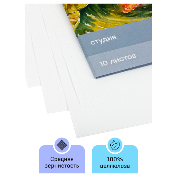 Папка для акварели, 10л., А3 200г/м2, среднее зерно Гамма "Студия" 30C03F710W 346940 - МСК «Форвард»