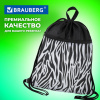 Мешок для обуви BRAUBERG БОЛЬШОЙ, с ручкой, карман на молнии, сетка, 49х41 см, "Zebra", 271611 - МСК «Форвард»