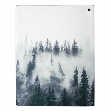 Тетрадь на кольцах БОЛЬШАЯ А4 (240х310 мм), 120 л., под кожу, BRAUBERG VISTA, "Туман", 404515 - МСК «Форвард»