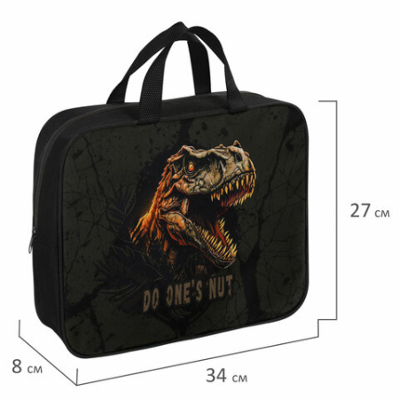 Папка на молнии с ручками BRAUBERG А4, 1 отделение, полиэстер, 80 мм, "Dino attack", 272179 - МСК «Форвард»