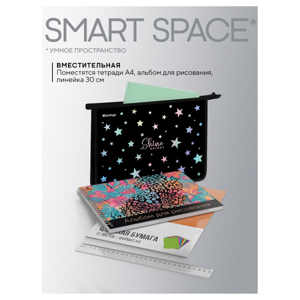 Папка для тетрадей 1 отделение, А4 Berlingo "Shine", 340*245*40 мм, пластик, на молнии PP04-EXA-1209 390080 - МСК «Форвард»