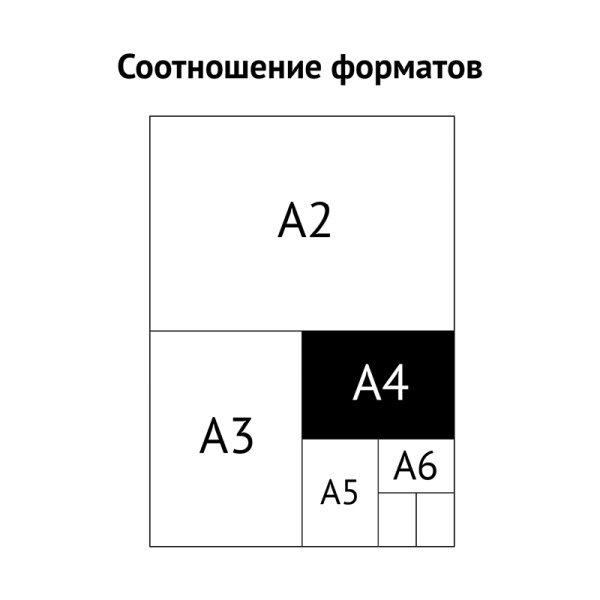 Папки - файлы OfficeSpace А4, 22-25мкм, глянцевые 013ВТ22 153196 минпромторг - МСК «Форвард»